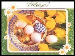 jajeczka, Wielkanoc, alleluja